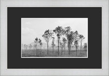 Sample framed print